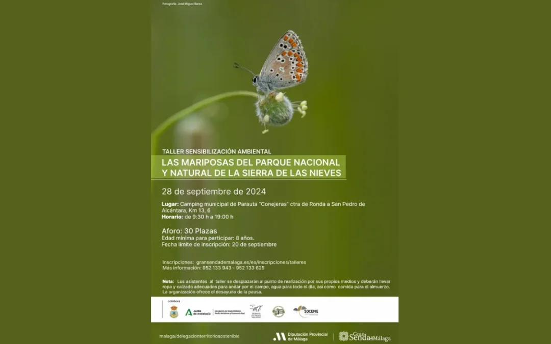 Taller de mariposas Sierra de las Nieves