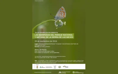 Taller de mariposas en el Parque Nacional y Natural Sierra de las Nieves