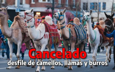 Cancelados los desfiles de camellos, llamas y burritos en Cártama