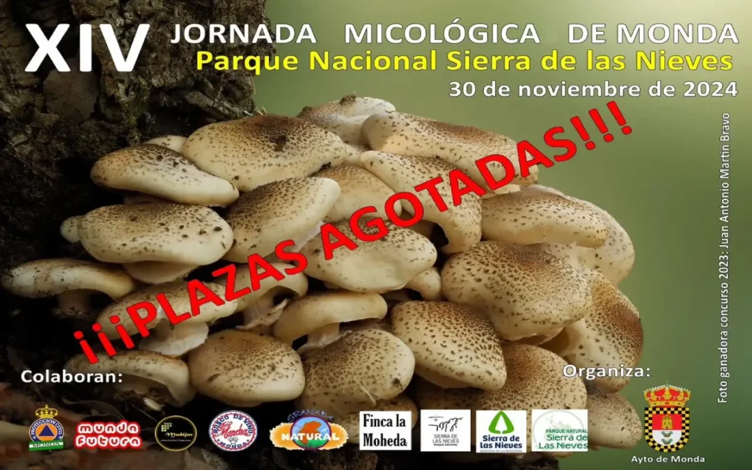 Jornadas Micológicas de Monda 2024