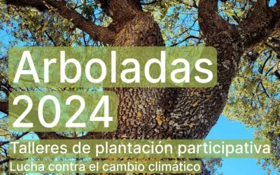 Arbolada en Coín 2024: Únete a la reforestación participativa del Valle del Guadalhorce