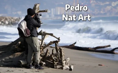 Entrevista Pedro Nat Art