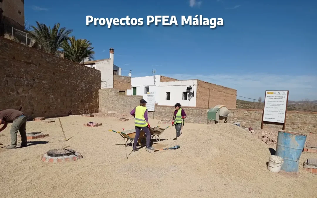 proyectos PFEA Málaga