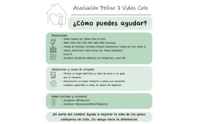 Asociación Felina 7 Vidas Coín: Un refugio para gatos necesitados