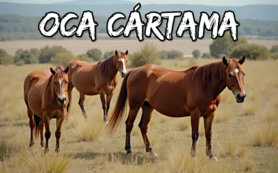 OCA Cártama – Oficina Comarcal Agraria