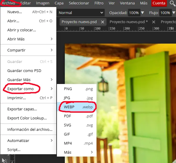 Manual de estilo colaboraciones imagenes photopea
