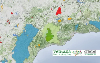 Ventana del visitante de los espacios naturales de Andalucía