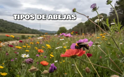 Tipos de abejas que polinizan tu jardín y su importancia