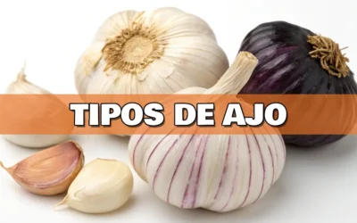 Tipos de ajo: descubre todas sus variedades y usos