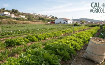 ¿Para qué sirve la cal agrícola en huertos y jardines?