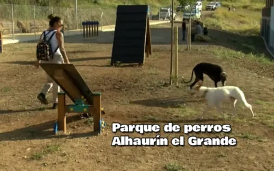 Parque de perros Alhaurín el Grande bienestar animal y convivencia