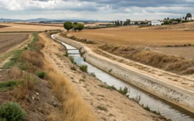 Situación de escasez moderada en el Sistema Guadalhorce-Limonero