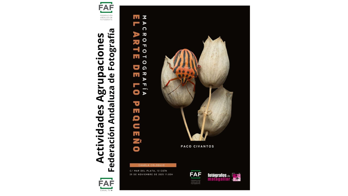 Macrofotografía en Coín: charla de Paco Civantos el 29 noviembre