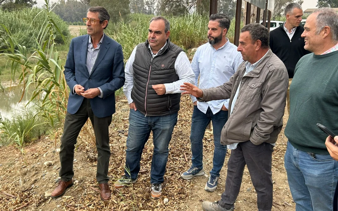 junta inversión dana pizarra 2024