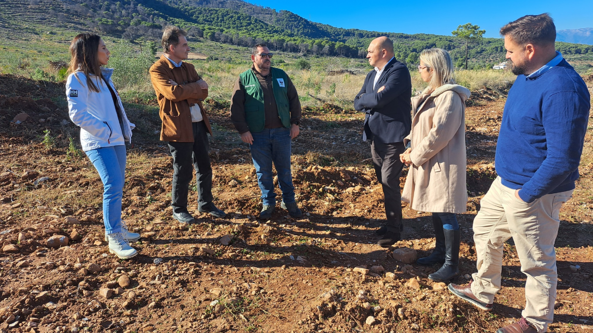 Restauración forestal en la sierra de Alhaurín el Grande el 30 de noviembre