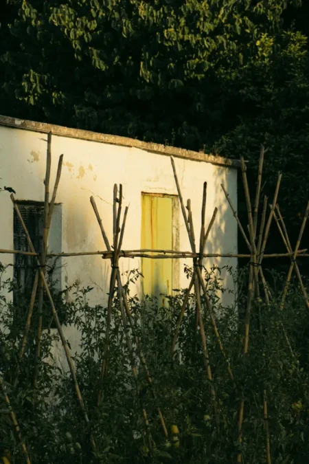 Escena La Alfaguara de Noa Fito Bravo