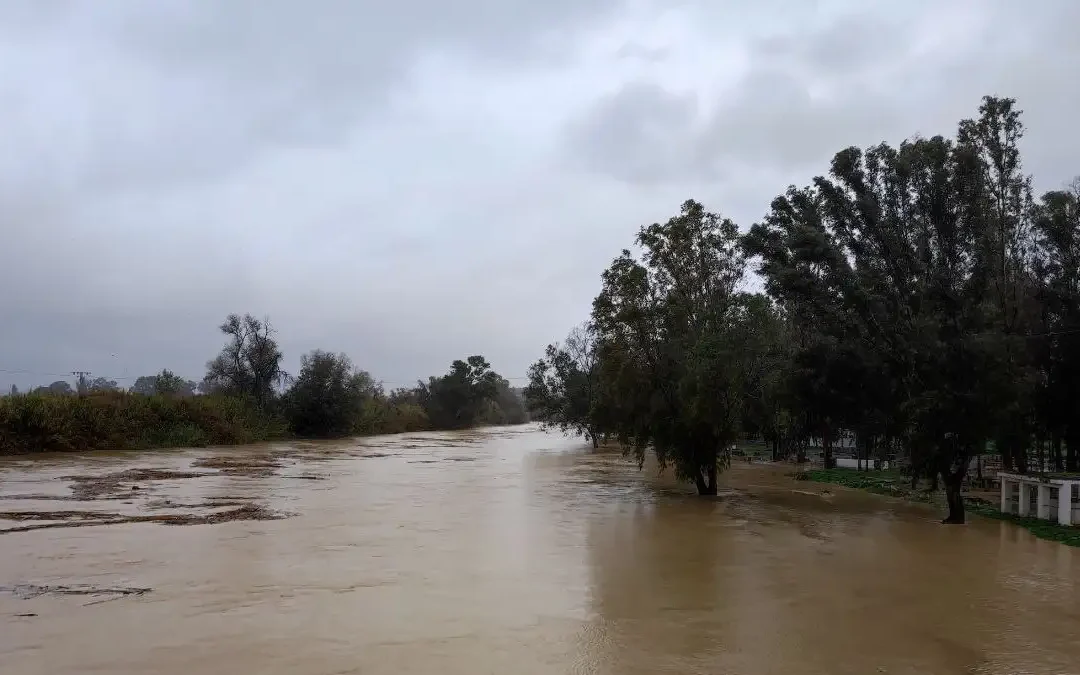 Borrasca Francis desborda Río Grande
