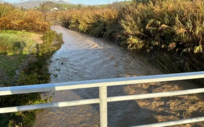 Formulario de incidencias por lluvias en Pizarra: accede ya en la web municipal