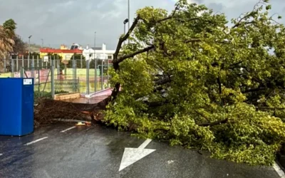 457 incidencias en enero en Alhaurín de la Torre refuerzan el papel de Línea Verde