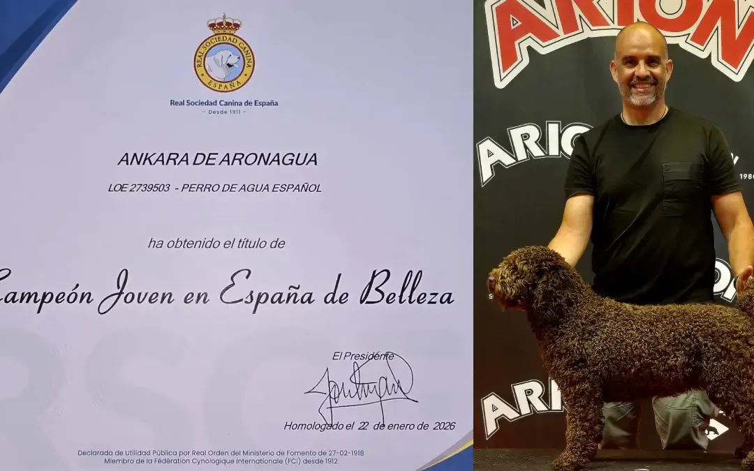 Ankara de Aronagua campeona joven España belleza