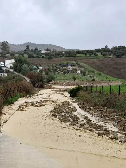 Arroyos desbordados en Almogía en la última borrasca