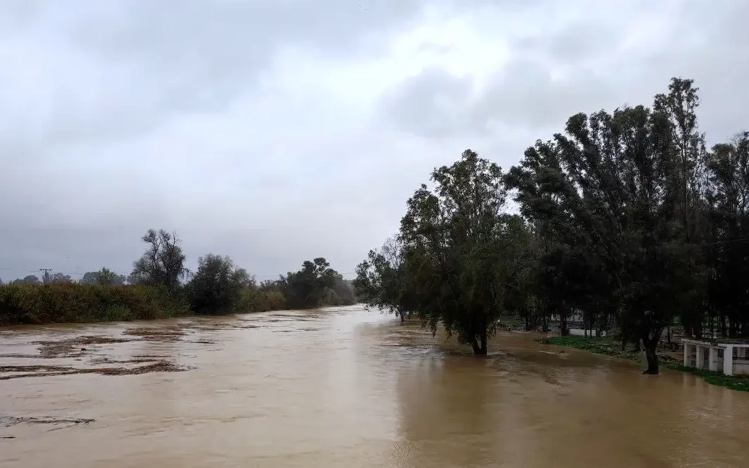 Crecida del río Guadalhorce en Álora Pizarra Cártama qué hacer