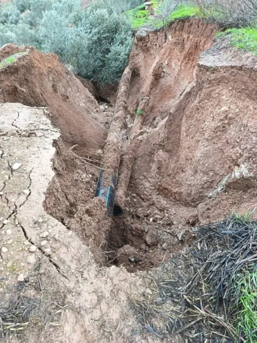 Daño de la borrasca Leonardo en Almogía