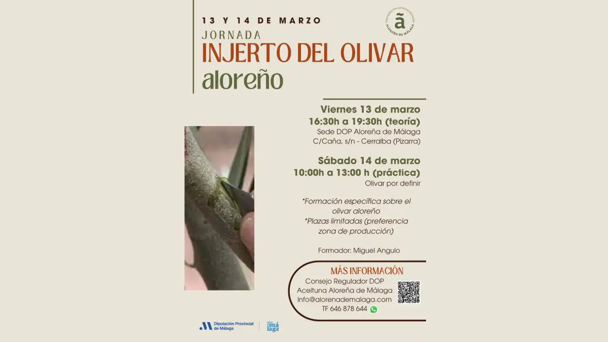 Jornada Injerto del Olivar AloreƱo: teorĆa y prĆ”ctica en marzo