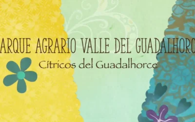 Sabor y Conciencia: Tu Plato Tu Impacto, la apuesta del Valle del Guadalhorce por la alimentación sostenible