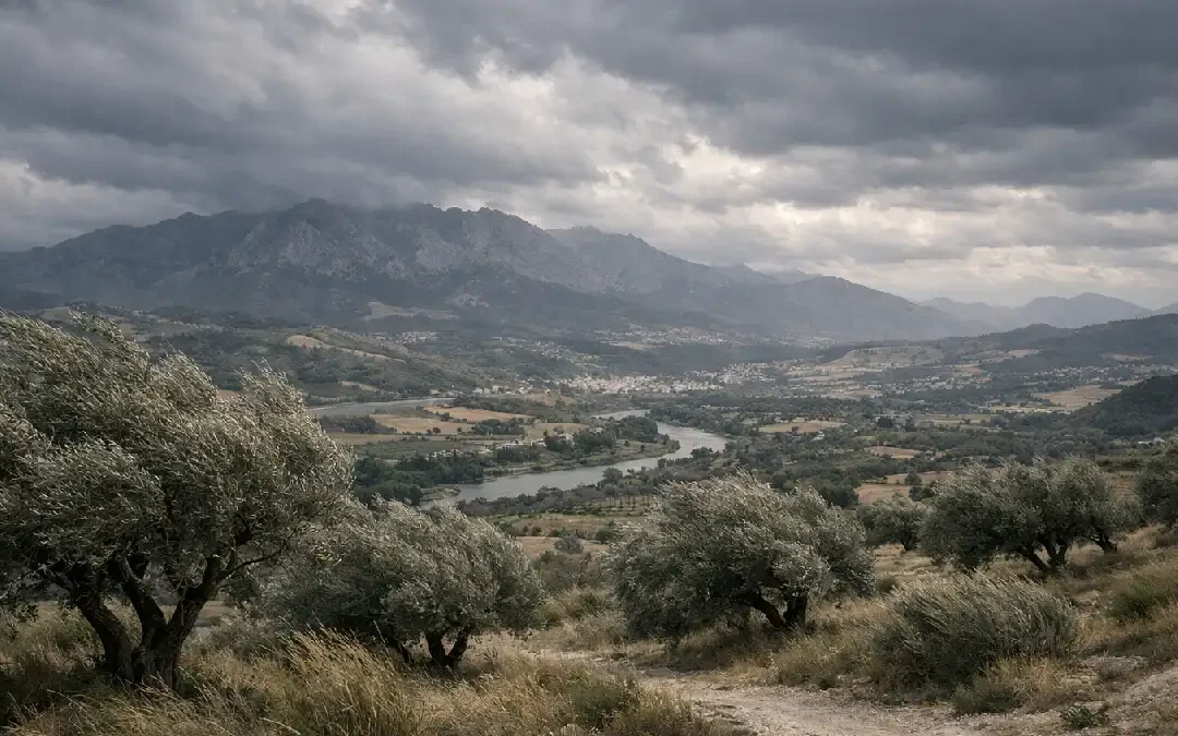 alerta naranja Valle del Guadalhorce