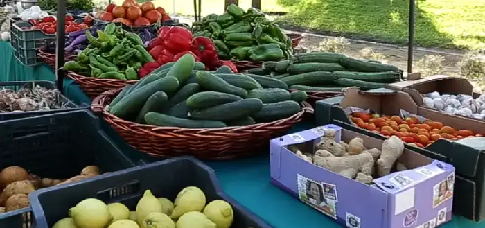 frutas y verduras ecológicas del Valle del Guadalhorce