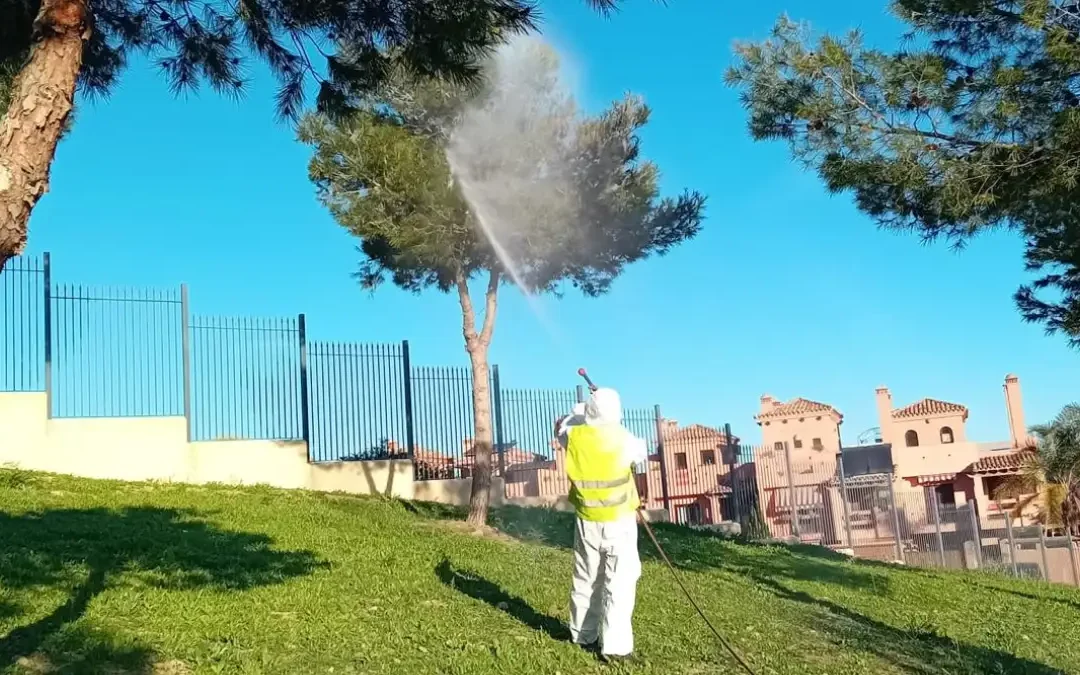 fumigación procesionaria Alhaurín de la Torre