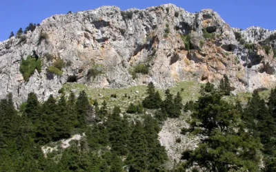 Escapada de fin de semana a Sierra de las Nieves, desconecta entre pinsapares