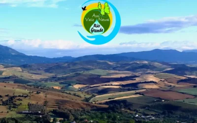 Denuncian indefensión en expropiaciones para macrofotovoltaicas en Málaga