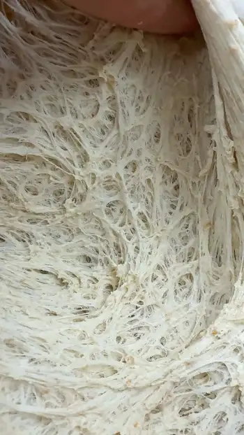 Masas Gastro Cortijo Benítez