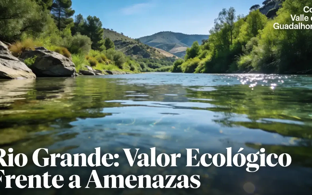 Presa Cerro Blanco destruiría Río Grande