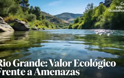 Presa Cerro Blanco destruirĆa RĆo Grande