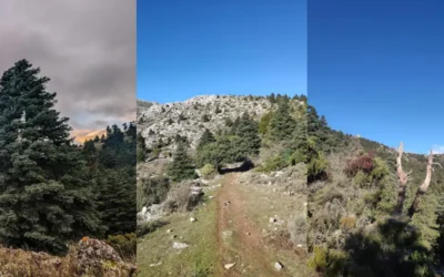 Ruta Caucón – Peñón de los Enamorados conquista la Sierra de las Nieves