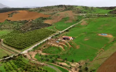 San Miguel Biodinámico en Álora: camping bio-dinámico y cohousing sostenible