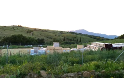 Situación actual de los macroproyectos fotovoltaicos en el Valle del Guadalhorce 2026