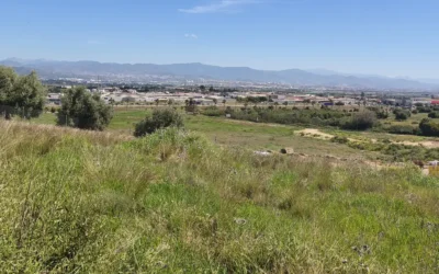 Aprobada bolsa de suelo entre El Cordobés y Capellanía