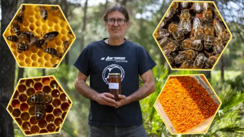 Entrevista a Rafael Ocaña apicultor de Coín