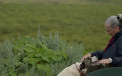 TSJA anula expropiación Vega Mestanza y condena Junta en costas