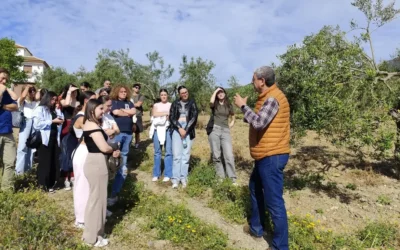 UMA visita la DOP Aloreña de Málaga en Alozaina y GDR