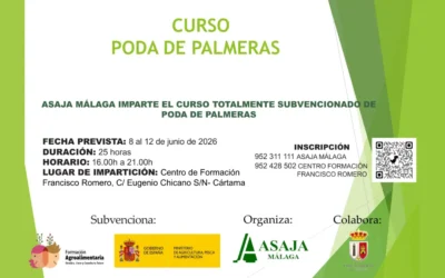 Cártama retrasa a junio su curso gratuito de poda de palmeras
