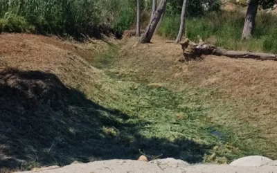 Alhaurín de la Torre activa su campaña anual contra incendios