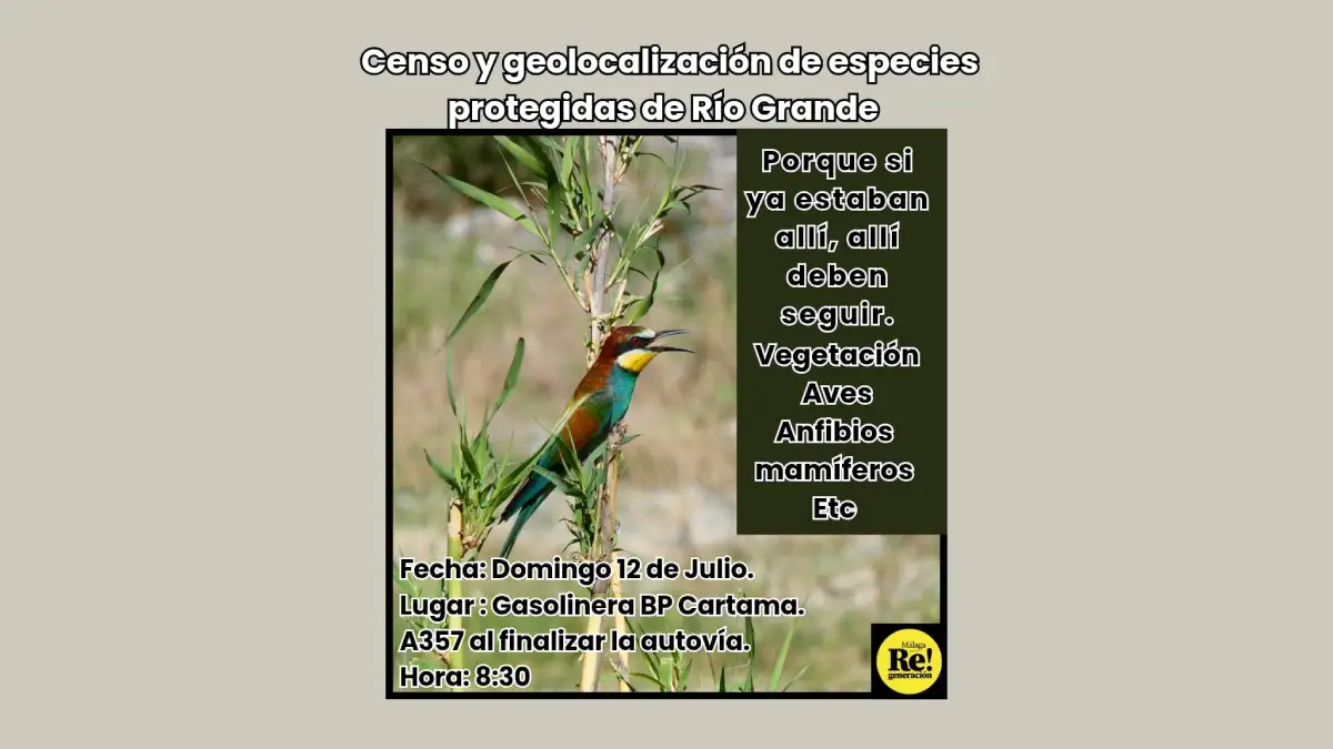 Censo y geolocalización de especies protegidas de Río Grande
