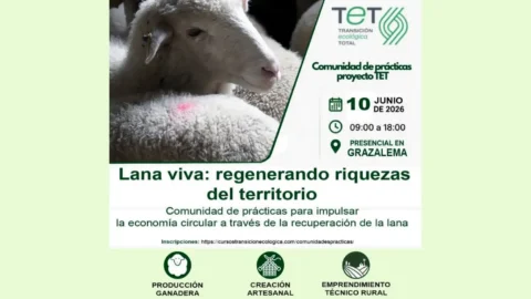 Curso Lana Viva en Grazalema: una jornada para recuperar la lana como recurso