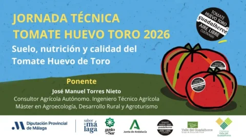Jornada Técnica Tomate Huevo Toro 2026 en Coín: formación práctica en campo para agricultores