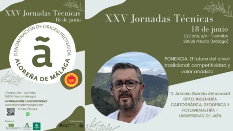 La Jornada técnica DOP Aceituna Aloreña de Málaga 2026 se celebra el 18 de junio en Pizarra